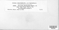 Image Associated With the Occurence